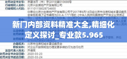 新門(mén)內(nèi)部資料精準(zhǔn)大全,精細(xì)化定義探討_專業(yè)款5.965