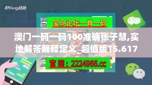 澳門一碼一碼100準(zhǔn)確張子慧,實(shí)地解答解釋定義_超值版15.617