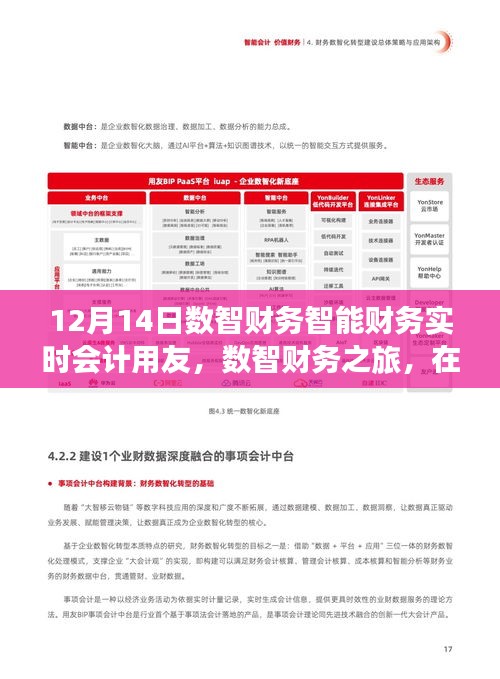 數(shù)智財務(wù)之旅，用友實時會計與大自然的和諧共舞，探尋內(nèi)心寧靜港灣的財務(wù)智慧之旅