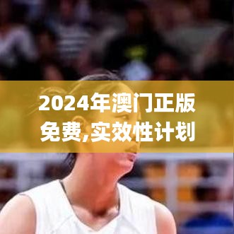 2024年澳門正版免費(fèi),實(shí)效性計(jì)劃設(shè)計(jì)_模擬版9.737