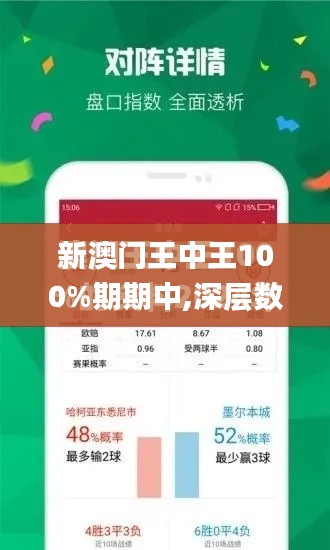 新澳門王中王100%期期中,深層數(shù)據(jù)執(zhí)行設(shè)計_復(fù)古款2.806