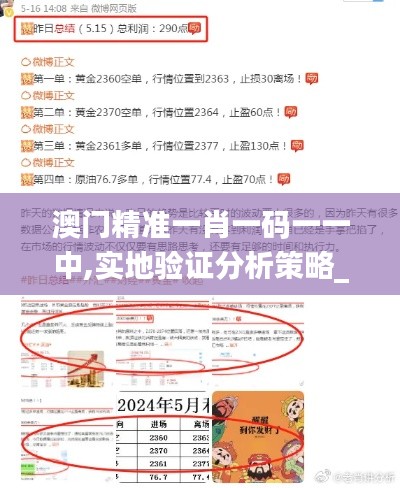 澳門精準(zhǔn)一肖一碼一一中,實(shí)地驗(yàn)證分析策略_YE版2.458