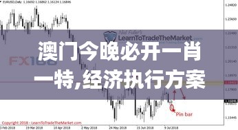 澳門今晚必開一肖一特,經(jīng)濟執(zhí)行方案分析_X版5.889