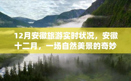 安徽十二月旅游實(shí)時(shí)狀況，自然美景之旅，探尋內(nèi)心的平和與寧?kù)o