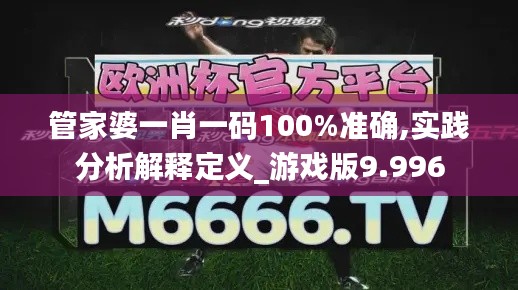 管家婆一肖一碼100%準(zhǔn)確,實踐分析解釋定義_游戲版9.996