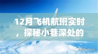 探秘隱藏版航班實(shí)時(shí)查詢小店，揭秘十二月航班情報(bào)與小巷深處的奇妙之旅