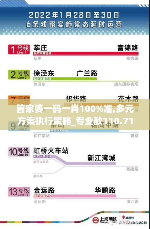 管家婆一碼一肖100%準,多元方案執(zhí)行策略_專業(yè)款110.719