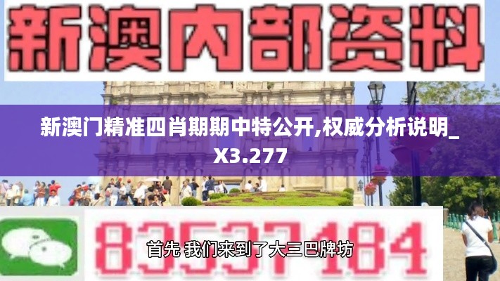 新澳門精準(zhǔn)四肖期期中特公開(kāi),權(quán)威分析說(shuō)明_X3.277