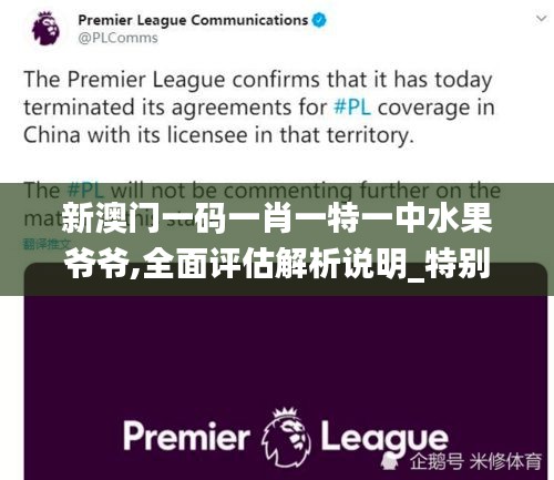 新澳門一碼一肖一特一中水果爺爺,全面評估解析說明_特別款5.267