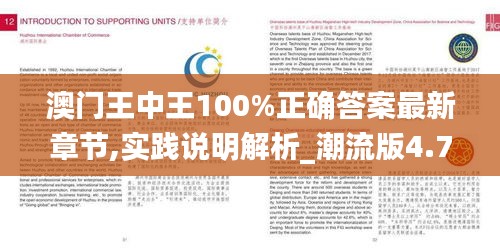 澳門王中王100%正確答案最新章節(jié),實踐說明解析_潮流版4.791