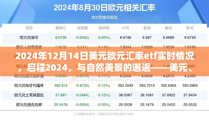 啟程2024，美元?dú)W元匯率ETF實(shí)時(shí)動(dòng)態(tài)與邂逅自然美景的心靈之旅