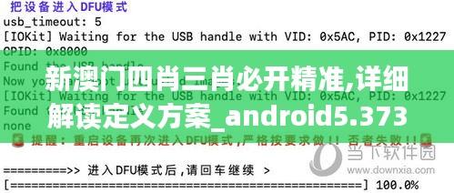 新澳門四肖三肖必開精準(zhǔn),詳細解讀定義方案_android5.373