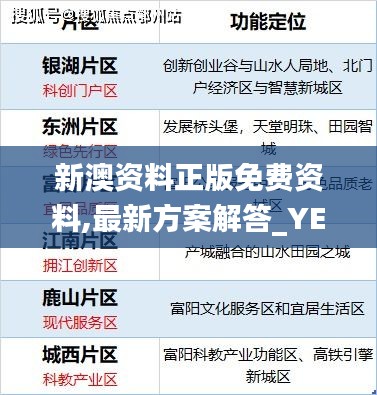 新澳資料正版免費資料,最新方案解答_YE版8.217