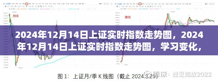 2024年12月14日上證實(shí)時(shí)指數(shù)走勢(shì)圖，學(xué)習(xí)變化，開(kāi)啟自信與成就之旅