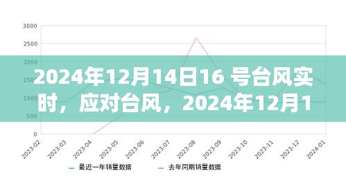 臺(tái)風(fēng)實(shí)時(shí)更新，關(guān)于臺(tái)風(fēng)防御指南，初學(xué)者與進(jìn)階用戶必備指南（2024年）