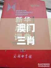 澳門三肖三碼精準(zhǔn)100%新華字典,安全設(shè)計解析策略_L版4.964