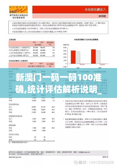 新澳門一碼一碼100準確,統(tǒng)計評估解析說明_2DM3.845
