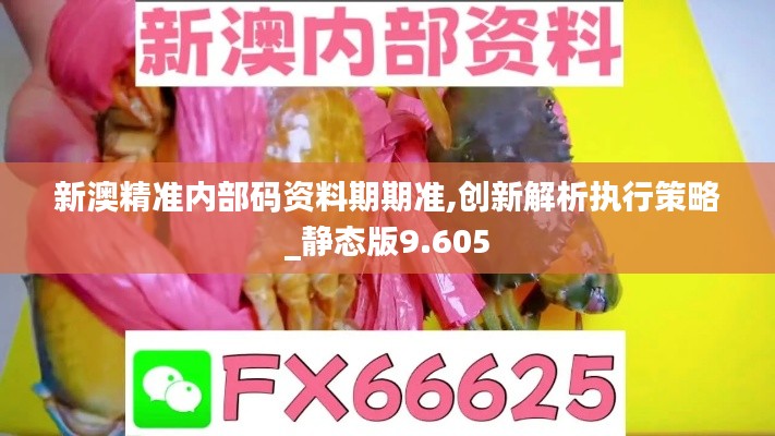 新澳精準內(nèi)部碼資料期期準,創(chuàng)新解析執(zhí)行策略_靜態(tài)版9.605