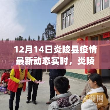 炎陵縣疫情最新動態(tài)與日常故事，溫情陪伴下的抗疫之路