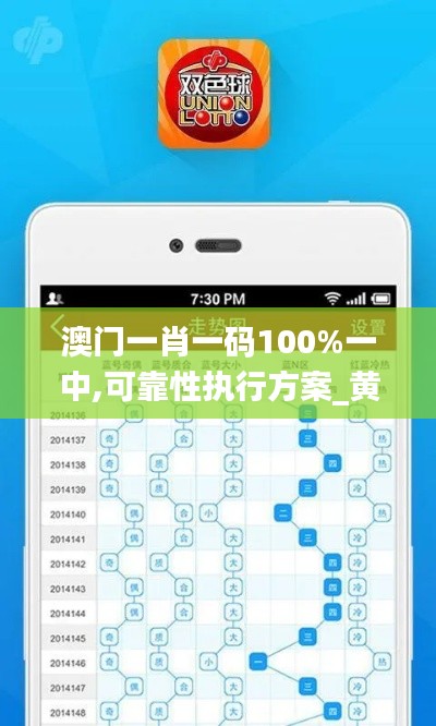 澳門一肖一碼100%一中,可靠性執(zhí)行方案_黃金版11.452