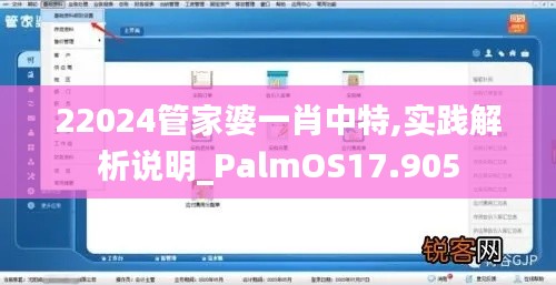 22024管家婆一肖中特,實踐解析說明_PalmOS17.905