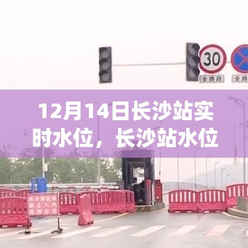 長沙站水位下的溫情故事，與友共度美好時光（實時水位報道）