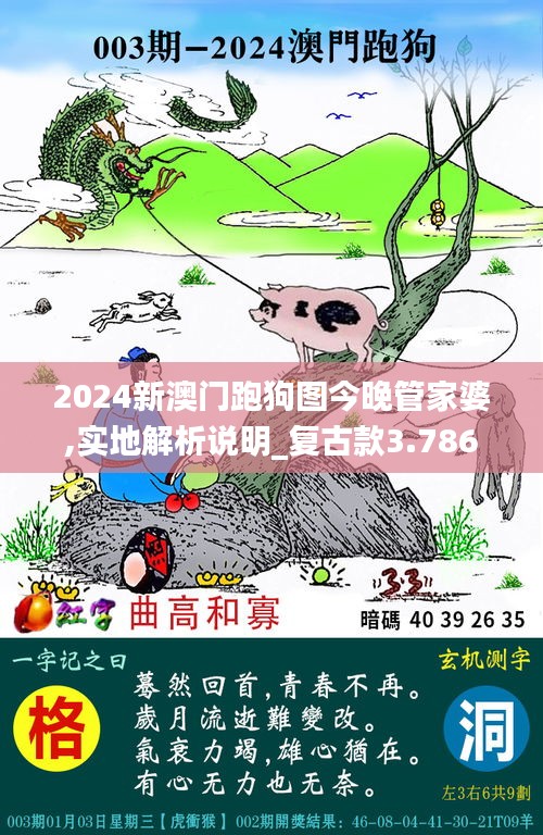 2024新澳門跑狗圖今晚管家婆,實(shí)地解析說明_復(fù)古款3.786