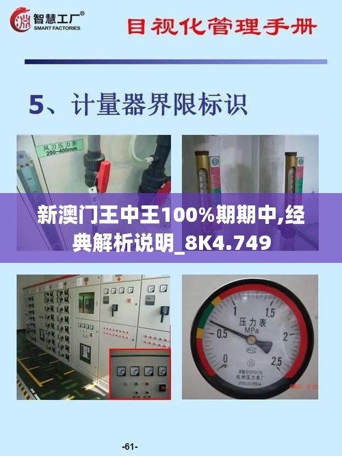 新澳門王中王100%期期中,經(jīng)典解析說明_8K4.749