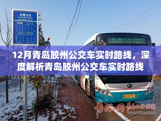 青島膠州公交車(chē)實(shí)時(shí)路線詳解，服務(wù)特性、體驗(yàn)與競(jìng)品對(duì)比