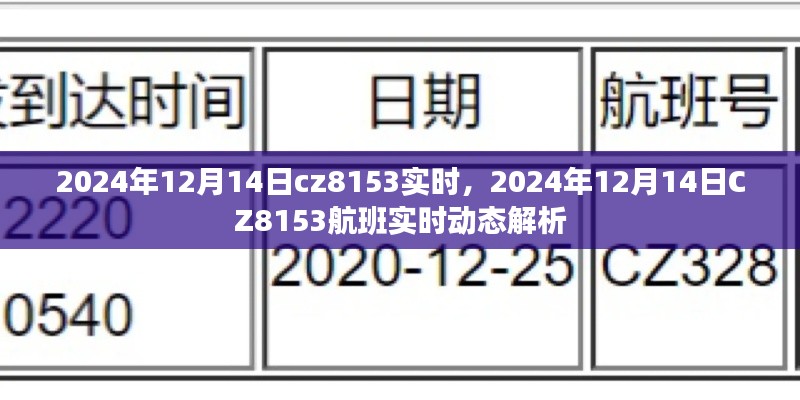 獨家解析，CZ8153航班在2024年12月14日的實時動態(tài)