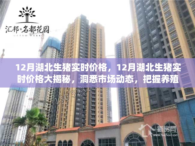 湖北生豬實(shí)時(shí)價(jià)格解析，洞悉市場(chǎng)動(dòng)態(tài)，把握養(yǎng)殖盈利機(jī)遇