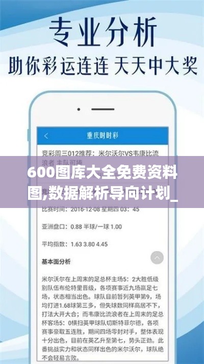 600圖庫大全免費資料圖,數據解析導向計劃_LT1.376