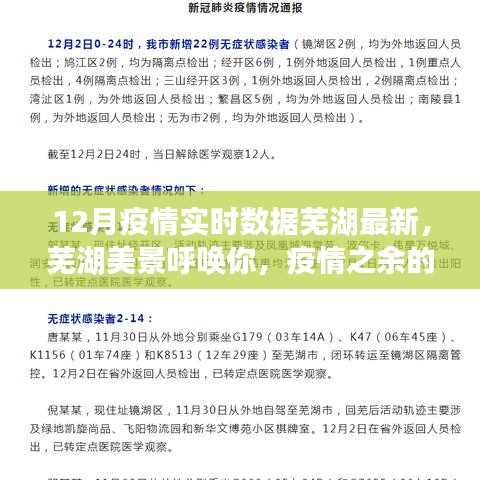 蕪湖疫情實(shí)時(shí)數(shù)據(jù)與美景探索，自然之旅喚醒內(nèi)心平和的奇妙之旅
