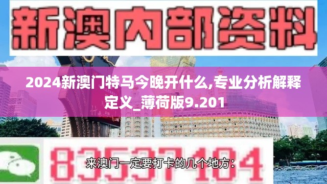 2024新澳門特馬今晚開什么,專業(yè)分析解釋定義_薄荷版9.201