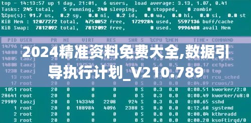 2024精準(zhǔn)資料免費(fèi)大全,數(shù)據(jù)引導(dǎo)執(zhí)行計(jì)劃_V210.789