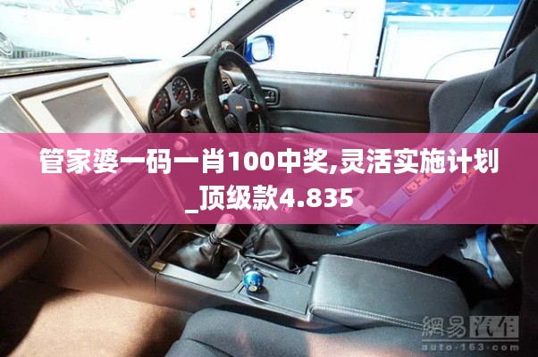 管家婆一碼一肖100中獎(jiǎng),靈活實(shí)施計(jì)劃_頂級(jí)款4.835