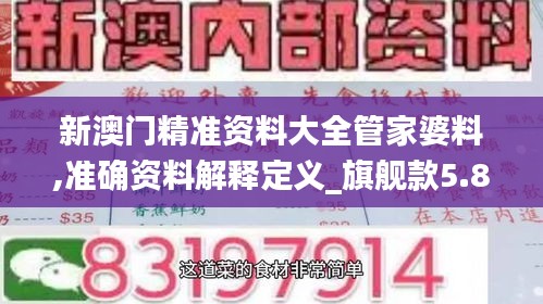 新澳門精準資料大全管家婆料,準確資料解釋定義_旗艦款5.894