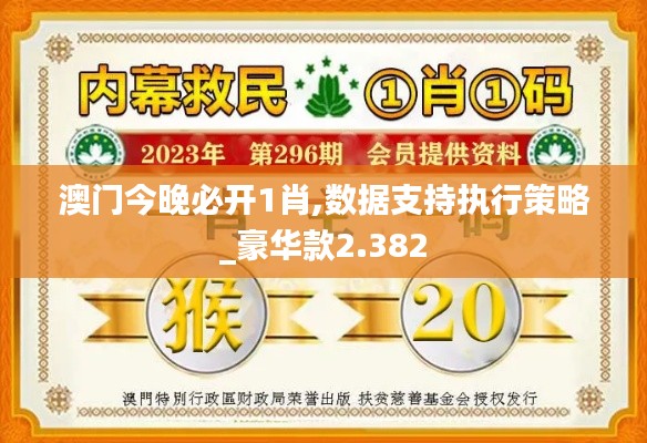 澳門今晚必開(kāi)1肖,數(shù)據(jù)支持執(zhí)行策略_豪華款2.382