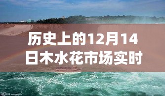 穿越時(shí)空的繁華，木水花市場(chǎng)12月14日的歷史實(shí)錄