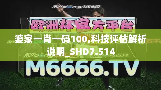 婆家一肖一碼100,科技評(píng)估解析說明_SHD7.514