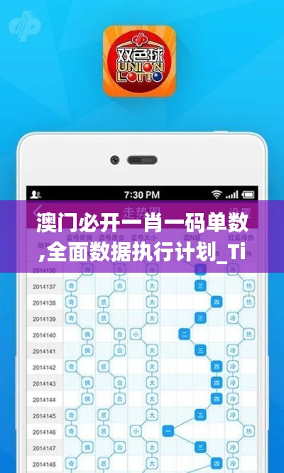 澳門必開一肖一碼單數(shù),全面數(shù)據(jù)執(zhí)行計劃_Tizen3.547