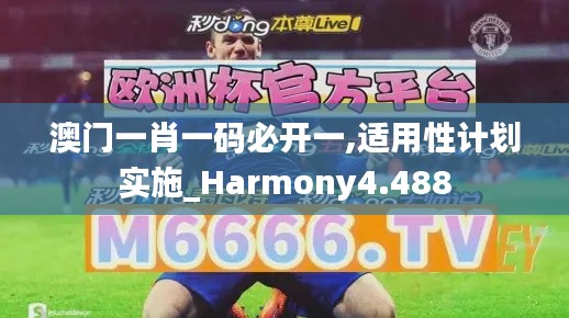 澳門一肖一碼必開一,適用性計(jì)劃實(shí)施_Harmony4.488