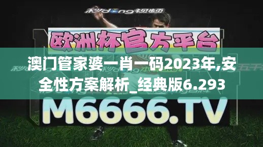 澳門管家婆一肖一碼2023年,安全性方案解析_經典版6.293
