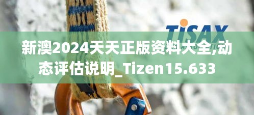 新澳2024天天正版資料大全,動態(tài)評估說明_Tizen15.633
