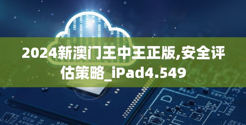 2024新澳門(mén)王中王正版,安全評(píng)估策略_iPad4.549