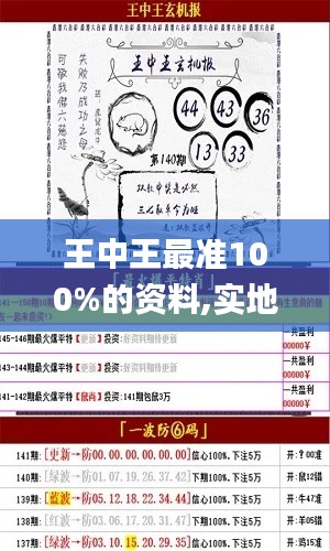 王中王最準(zhǔn)100%的資料,實地解析說明_VR版3.765