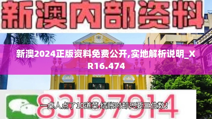 新澳2024正版資料免費(fèi)公開,實地解析說明_XR16.474