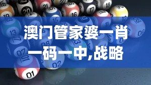 澳門管家婆一肖一碼一中,戰(zhàn)略方案優(yōu)化_M版9.243
