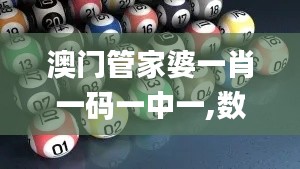 澳門管家婆一肖一碼一中一,數(shù)據(jù)支持計(jì)劃解析_蘋果2.296