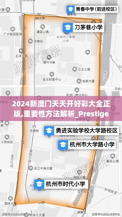 2024新澳門天天開好彩大全正版,重要性方法解析_Prestige6.919